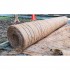 Straw Erosion Control Blanket