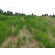 Straw Erosion Control Blanket