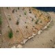 Jute 100% Biodegradable Erosion Control Matting - 4' x 225'