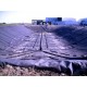 HYDRAFLEX™ 40 mil Black Polyethylene Plastic Sheeting