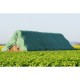 Biodegradable Green Plastic Sheeting - 6 mil